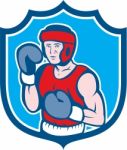 Amateur Boxer Stance Shield Cartoon Stock Photo