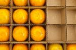 Oranges In Paper Box Stock Photo