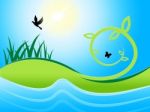 Birds Sea Shows Water Grass And Meadow Stock Photo