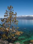 Landscape Of Lake Tahoe Stock Photo