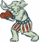 Republican Elephant Boxer Mascot Isolated Etching Stock Photo