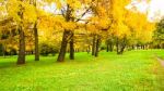 Autumn Season In Russia Moscow Stock Photo