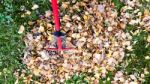 Fall Leaves And Yard Work Stock Photo