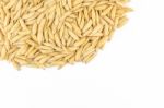 Paddy Rice Stock Photo