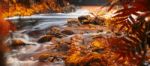 Newell Creek In Tasmania Stock Photo