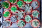 Various Green Cactus And Succulent Plant In Pink Rose Red Flower Pot. Top View - Flat Lay - Color Tone Stock Photo