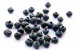 Blueberries Stock Photo