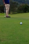 Golf Player On The Green Stock Photo