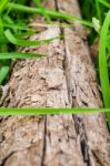 Wooden With Green Grass Background Stock Photo