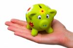 Piggy Bank Stock Photo