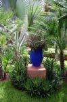 Jardin Majorelle, Marrakech Stock Photo