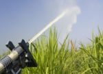 Sprinkler Watering The Grass Stock Photo