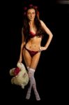 Young Woman With A Teddy Bear Wearing Lingerie Stock Photo