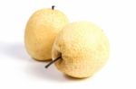 Oriental Pear Stock Photo