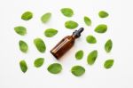 Mint Essential Oil In A Glass Bottle With Leaves On White Backgr Stock Photo