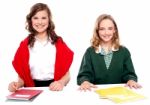 Smiling Teenage Girls Learning Book Stock Photo