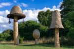 Tom Hare's Fungi Fairy Ring Stock Photo