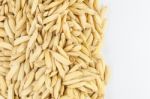 Paddy Rice Stock Photo