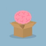 Brain Over Opened Box Stock Photo