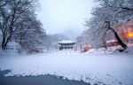 Baekyangsa Temple And Falling Snow, Naejangsan Mountain In Winter With Snow,famous Mountain In Korea.winter Landscape Stock Photo