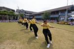 Bangkok, Thailand - Nov 2016: In The Nov 23, 2016. Youth Tug Of War, In Pieamsuwan Elementary School Stock Photo