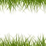 Grass Background Stock Photo