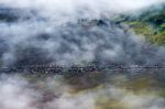 Jeep In Bromo. (top View) Indonesia Stock Photo