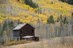 Old House In Autumn Forest Stock Photo