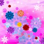 Color Flowers Shows Artistic Swirl And Colorful Stock Photo