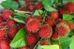 Rambutan Thai Fruit Stock Photo