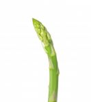 Asparagus Isolated On The White Background Stock Photo