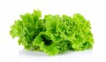 Lettuce Isolated On The White Background Stock Photo