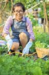 Asian Woman Relaxing Activitiies In Home Garden Stock Photo