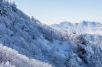 Deogyusan In Winter,korea Stock Photo