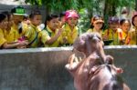 Primary Students Visit The Zoo, In The Jul 27, 2016. Bangkok Thailand Stock Photo