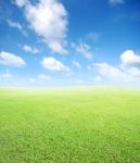 Grass And Sky Background Stock Photo