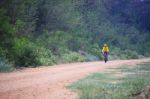 Lonely Cyclist Biking Mountain Bike On Dusty Road Stock Photo