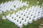 Wedding Ceremony In A Beautiful Garden Stock Photo