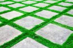 Green Grass Growth Between Cement Walkway Stock Photo