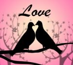 Love Doves Represents Compassionate Tenderness And Heart Stock Photo