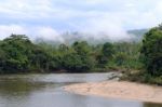 Amazon, View Of The Tropical Rainforest, Ecuador Stock Photo