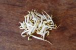 Bean Sprouts Stock Photo