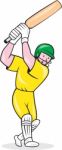 Cricket Player Batsman Batting Cartoon Stock Photo