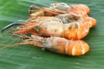 Pile Row Of Shrimp Grilled On Banana Leaf Stock Photo