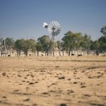 Windmill And Cows In The Countryside During The Day Stock Photo