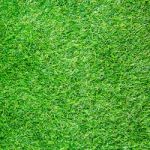 Artificial Grass Field Top View Texture Stock Photo