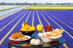 Table With Food And Drink Near Flowers Field Stock Photo