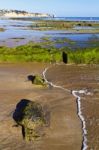 Beautiful Algarve Beach Stock Photo