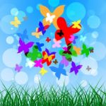 Background Butterflies Represents Summer Time And Creature Stock Photo