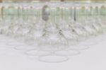 Rows Of Empty Wine Glass Bottoms On White Table Stock Photo